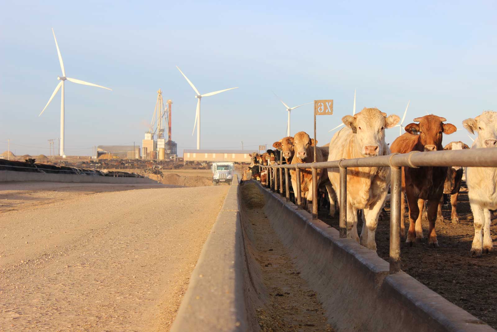 Home Kirkland Feedyard Feedyard in Vega, Texas